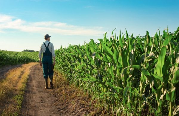 e-ΕΦΚΑ: Τι θα πληρώσουν οι αγρότες το 2023 για ασφαλιστικές εισφορές