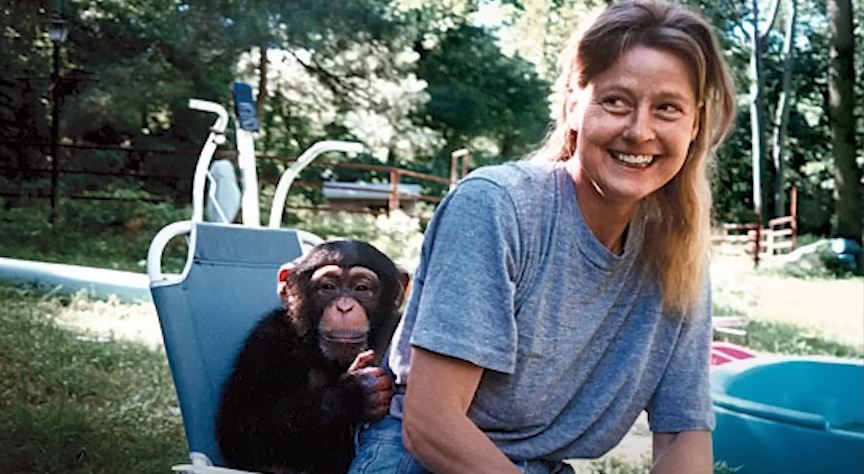 H ανατριχιαστική ιστορία του Τράβις, του χιμπατζή, που άφησε μια γυναίκα χωρίς πρόσωπο