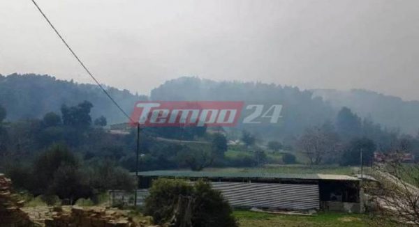 Αχαΐα: Σε εξέλιξη η φωτιά στην περιοχή Κυπαρίσσι – Υπό μερικό έλεγχο στη Βελά