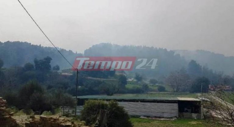 Αχαΐα: Σε εξέλιξη η φωτιά στην περιοχή Κυπαρίσσι – Υπό μερικό έλεγχο στη Βελά