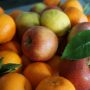 Εξαγωγές: Ρεκόρ για το μανταρίνι – Σταθερά βήματα για τη φράουλα