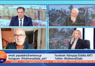 Καλάθι του Νοικοκυριού: Ο καβγάς Γεωργιάδη – Λεχουρίτη