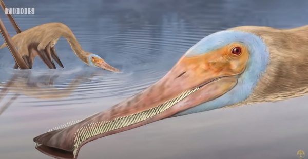 Νέος πτερόσαυρος με περισσότερα από 400 δόντια βρέθηκε στη Γερμανία