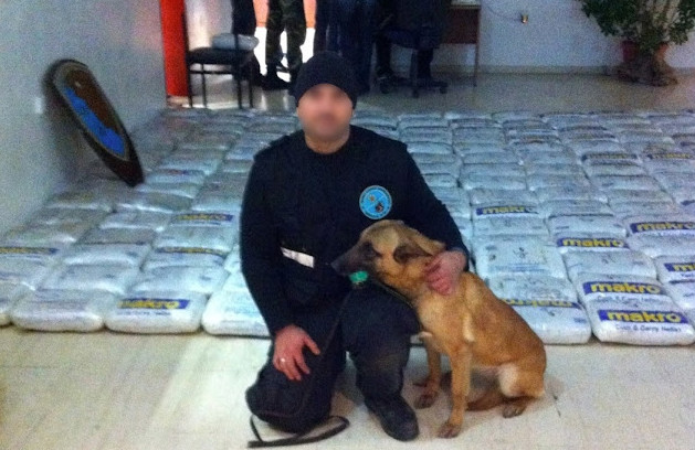 Ηγουμενίτσα: Την τελευταία της πνοή άφησε το σκυλί «θρύλος» του λιμεναρχείου