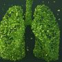 Kαρκίνος πνεύμονα: Αναγκαίος ο προληπτικός έλεγχος για καλύτερη θεραπεία