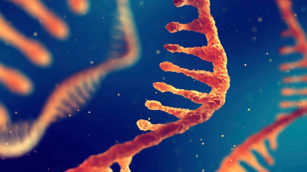 Καρκίνος: Η BioNTech «ξεκινά φέτος» κλινικές δοκιμές εμβολίων mRNA