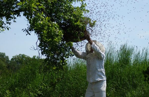 Μελισσοκόμοι: Με μηχανοκίνητες πορείες διαμαρτυρήθηκαν για το κόστος παραγωγής
