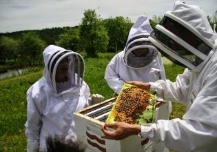 Μελισσοκόμοι: Πανελλαδική κινητοποίηση στην Αθήνα