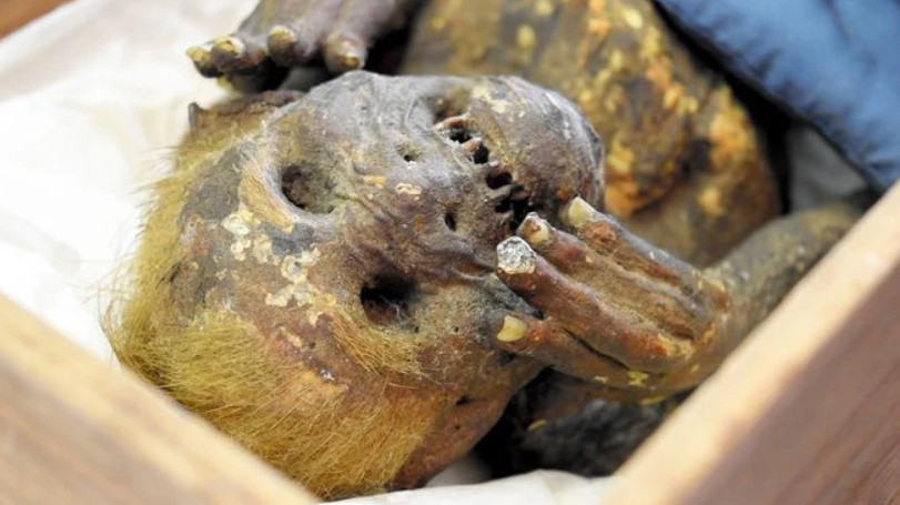 Ιαπωνία: Λύθηκε το μυστήριο της 300 ετών γοργόνας – μούμιας