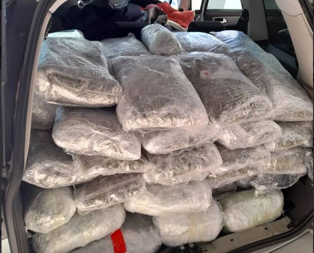 Θεσπρωτία: Αστυνομικοί βρήκαν σε αυτοκίνητο πάνω από 126 κιλά κάνναβης