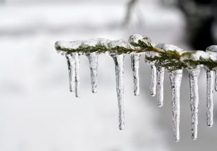 Κακοκαιρία Μπάρμπαρα: Σε λειτουργία η εφαρμογή frost.minagric.gr – Πρόγνωση παγετού