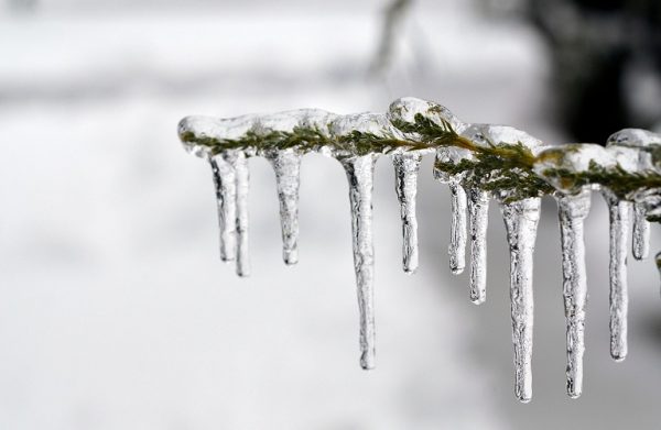 Κακοκαιρία Μπάρμπαρα: Σε λειτουργία η εφαρμογή frost.minagric.gr – Πρόγνωση παγετού