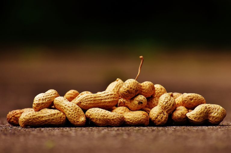 Αλλεργία στα φιστίκια: Πειραματική θεραπεία ίσως προλαμβάνει θανατηφόρες αντιδράσεις