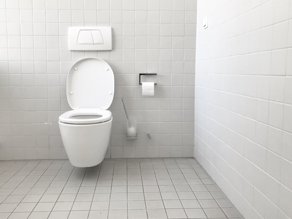 Ανακαλύφθηκε η «πρώτη» τουαλέτα με καζανάκι - Χρησιμοποιήθηκε πριν από... 2.400 χρόνια