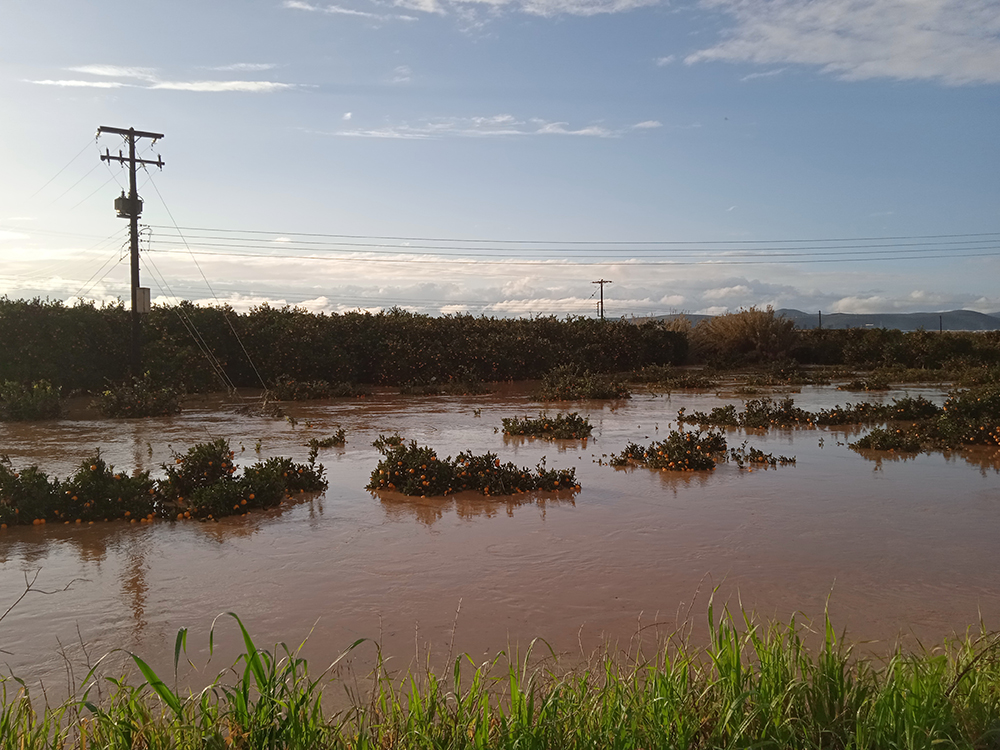Λακωνία: Αιτήσεις για αποζημιώσεις αγροτικών εκμεταλλεύσεων από πλημμύρες