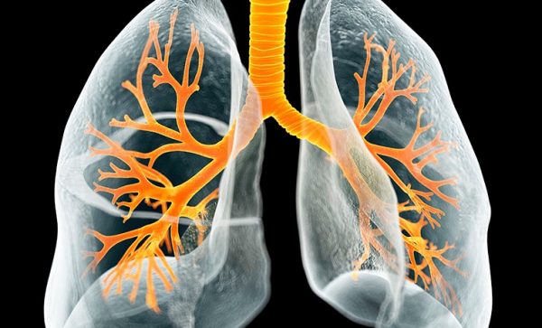 Νίκος Τζανάκης: Μία μικρή πόλη χάνεται κάθε χρόνο στην Ευρώπη από καρκίνο του πνεύμονα – Αύξηση 17%