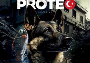 Σεισμός στην Τουρκία: O Proteo, σκύλος – διασώστης από το Μεξικό πέθανε εν ώρα καθήκοντος