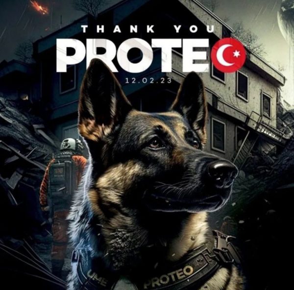 Σεισμός στην Τουρκία: O Proteo, σκύλος – διασώστης από το Μεξικό πέθανε εν ώρα καθήκοντος