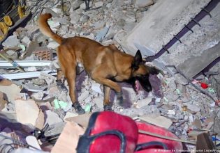 Σεισμός στην Τουρκία: Οι σκύλοι ή τα ρομπότ είναι καλύτερα στη διάσωση των σεισμόπληκτων;