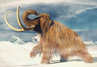 Εταιρεία σχεδιάζει να χρησιμοποιήσει την επιστήμη για να… επαναφέρει εξαφανισμένα ζώα