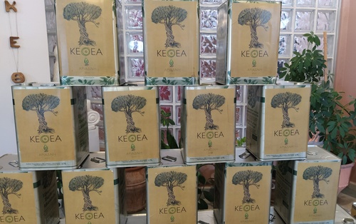 Απέδωσε καρπούς η συνεργασία Δήμου Ηρακλείου – ΚΕΘΕΑ «Αριάδνη»