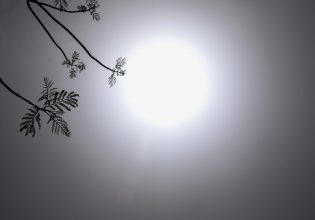 Καιρός: Ζέστη με ακόμα και 20 βαθμούς το Σαββατοκύριακο