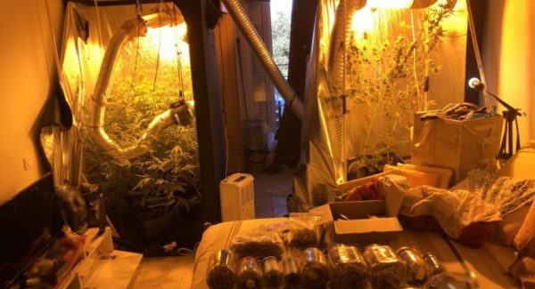 Πάτρα: Άντρας είχε μετατρέψει το σπίτι του σε θερμοκήπιο καλλιέργειας χασίς