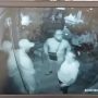 Αποκλειστικό: Βίντεο ντοκουμέντο από το φονικό στην καφετέρια της Νέας Ιωνίας