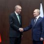 Συμφωνία για τα σιτηρά: Τηλεφωνική επικοινωνία Πούτιν – Ερντογάν