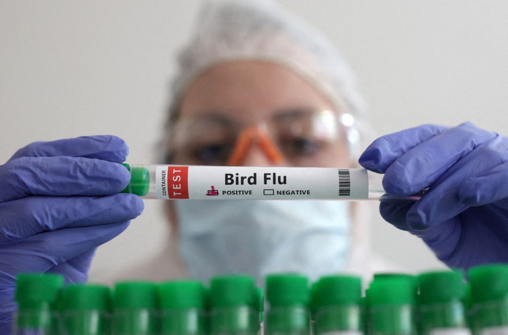 Γρίπη των πτηνών: Οι φαρμακοβιομηχανίες ετοιμάζουν εμβόλια για κάθε ενδεχόμενο