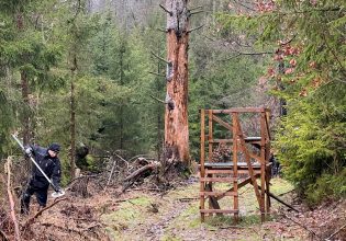 Γερμανία: Δύο ανήλικες μαχαίρωσαν μέχρι θανάτου μία 12χρονη