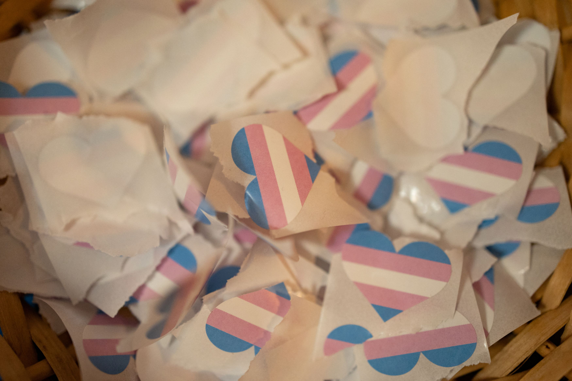 Διεθνής Ημέρα Τρανς Ορατότητας – ΣΥΔ: «Πλήρη κατοχύρωση των τρανς δικαιωμάτων εν όψει των εθνικών εκλογών»