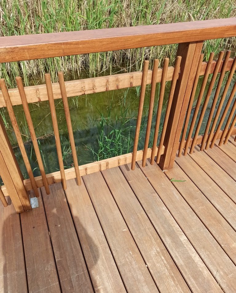 Κανένα έλεος ούτε για το έλος Αγυιάς στο Δήμο Πατρέων