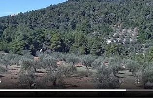 Μπήκαν κάμερες πυρανίχνευσης στα δάση της Αλοννήσου