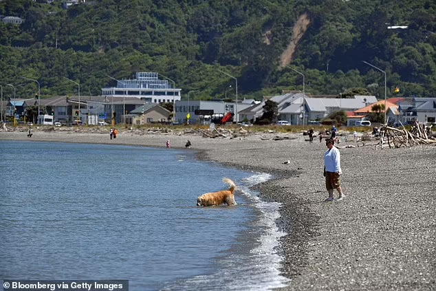 Μυστήριο σε παραλία: Ανάστατοι κάτοικοι στη Νέα Ζηλανδία – Είχε ξεβραστεί ανθρώπινο πόδι