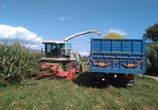 Ήπειρος: Πότε θα συγκομιστούν οι καλλιέργειες το 2023