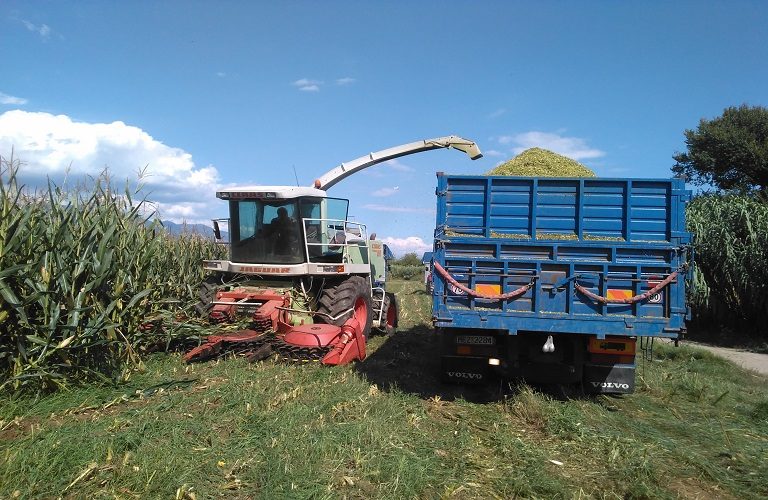 Ήπειρος: Πότε θα συγκομιστούν οι καλλιέργειες το 2023