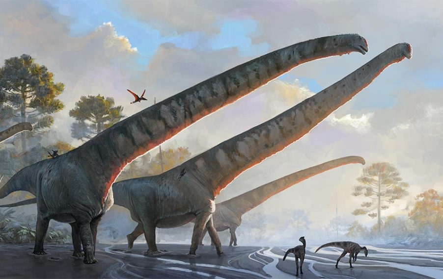 Δεινόσαυρος από την Κίνα είχε τον μακρύτερο λαιμό που γνωρίζουμε