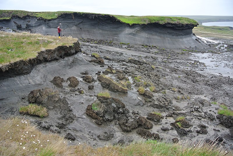 The virus rebounded 48,000 years later in frozen Siberia