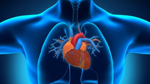 Ανάπτυξη καρκίνου και καρδιαγγειακές επιπλοκές