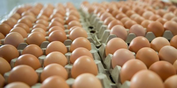Πανάκριβα τα αυγά ίδιας εταιρείας στο ίδιο σούπερ μάρκετ όταν βγαίνουν από το καλάθι του νοικοκυριού