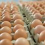 Πανάκριβα τα αυγά ίδιας εταιρείας στο ίδιο σούπερ μάρκετ όταν βγαίνουν από το καλάθι του νοικοκυριού