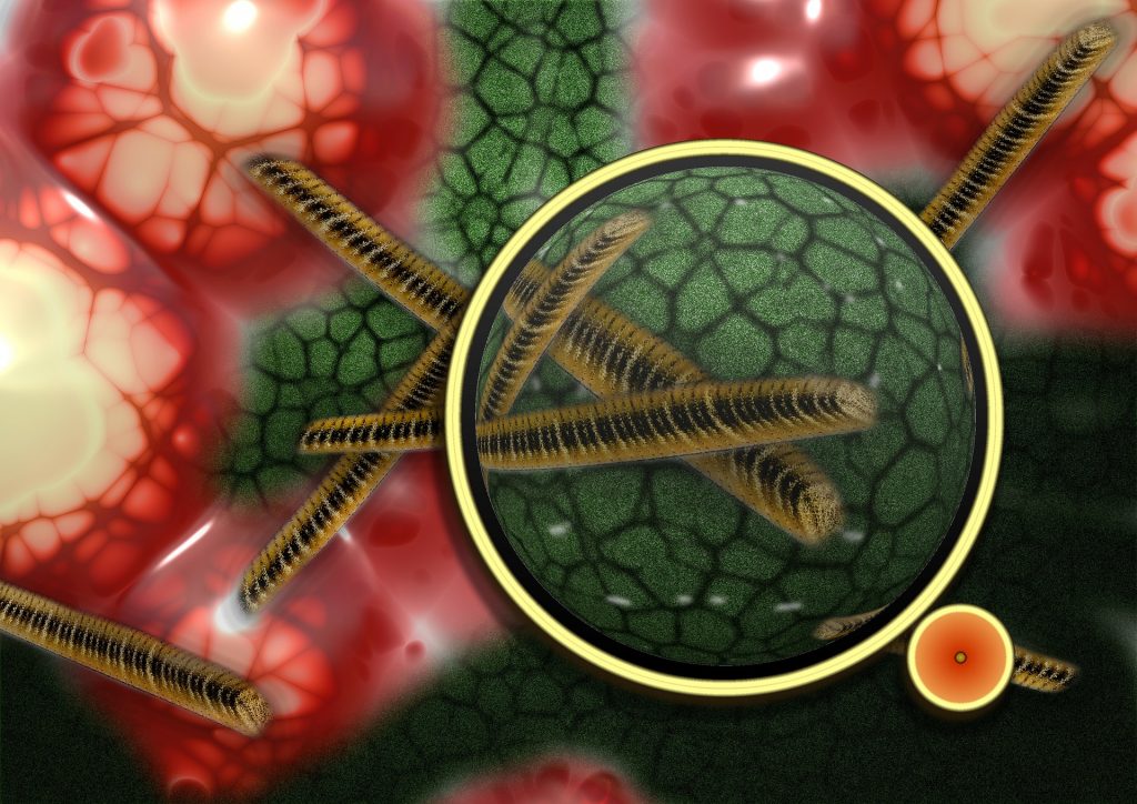 Πανδημία και νέες λοιμώξεις στο «μικροσκόπιο» των λοιμωξιολόγων