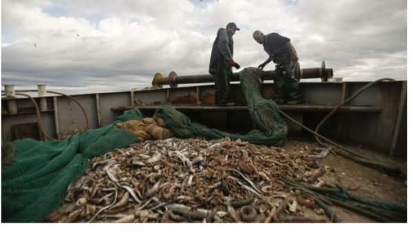 Σωτήρης Δανέζης: Πρεμιέρα του ντοκιμαντέρ για τη ρύπανση των βυθών
