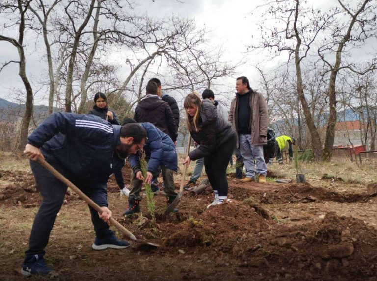 Τέμπη: Φοιτητές από το Καρπενήσι φύτευσαν 57 κυπαρίσσια στην μνήμη των νεκρών