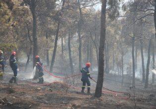Πήλιο: Μεγάλη φωτιά στον Κισσό
