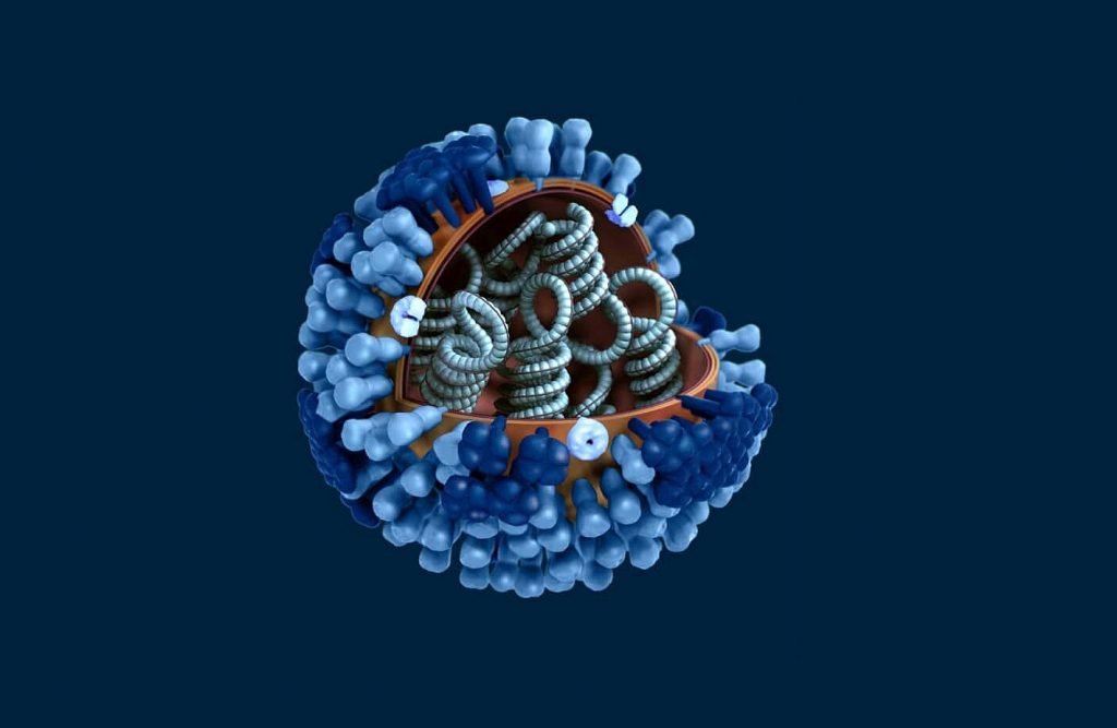 Γρίπη: Από πού προήλθε ο ιός; Η απάντηση ίσως κολυμπά στη θάλασσα