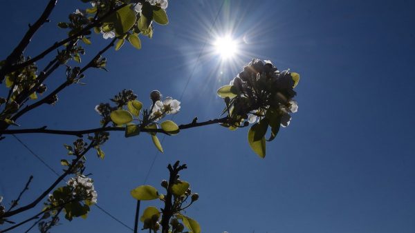 Καιρός: Γενικά αίθριος με άνοδο της θερμοκρασίας