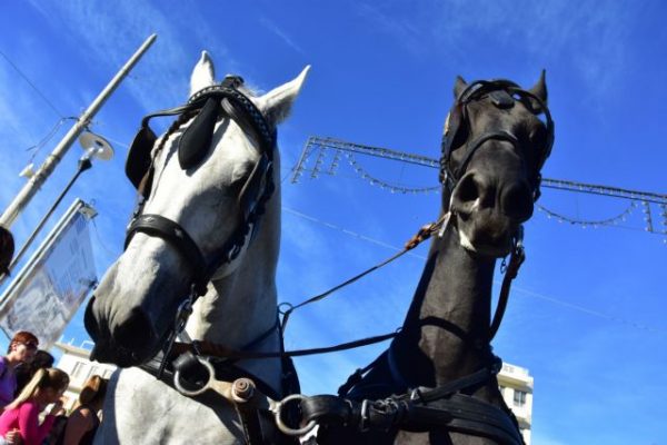 Παρέλαση: Χωρίς… άλογα η 25η Μαρτίου