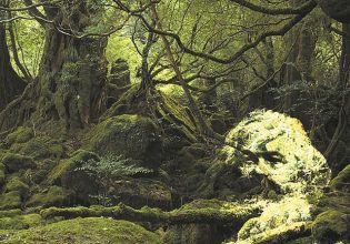 Ο οικολόγος Μαρξ